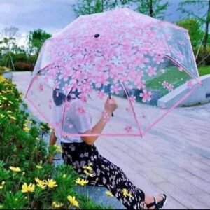 ,,A Transparent Clear Umbrella ( Pink )